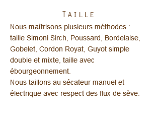 Taille Nous maîtrisons plusieurs méthodes : taille Simoni Sirch, Poussard, Bordelaise, Gobelet, Cordon Royat, Guyot simple double et mixte, taille avec ébourgeonnement.  Nous taillons au sécateur manuel et électrique avec respect des flux de sève. 