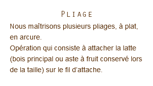Pliage Nous maîtrisons plusieurs pliages, à plat, en arcure. Opération qui consiste à attacher la latte (bois principal ou aste à fruit conservé lors de la taille) sur le fil d’attache. 