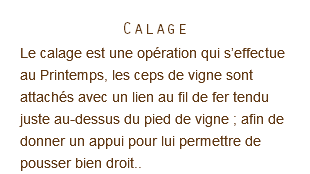 Calage Le calage est une opération qui s’effectue au Printemps, les ceps de vigne sont attachés avec un lien au fil de fer tendu juste au-dessus du pied de vigne ; afin de donner un appui pour lui permettre de pousser bien droit..