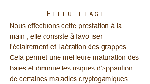 Effeuillage Nous effectuons cette prestation à la main , elle consiste à favoriser l’éclairement et l’aération des grappes. Cela permet une meilleure maturation des baies et diminue les risques d’apparition de certaines maladies cryptogamiques.