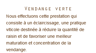 Vendange verte Nous effectuons cette prestation qui consiste à un éclaircissage, une pratique viticole destinée à réduire la quantité de raisin et de favoriser une meilleur maturation et concentration de la vendange.