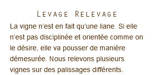 Levage Relevage La vigne n’est en fait qu’une liane. Si elle n’est pas disciplinée et orientée comme on le désire, elle va pousser de manière démesurée. Nous relevons plusieurs vignes sur des palissages différents.