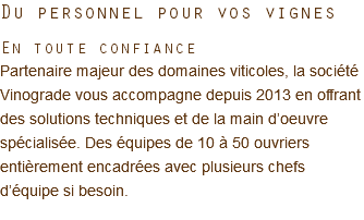 Du personnel pour vos vignes En toute confiance Partenaire majeur des domaines viticoles, la société Vinograde vous accompagne depuis 2013 en offrant des solutions techniques et de la main d’oeuvre spécialisée. Des équipes de 10 à 50 ouvriers entièrement encadrées avec plusieurs chefs d’équipe si besoin.