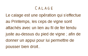 Calage Le calage est une opération qui s’effectue au Printemps, les ceps de vigne sont attachés avec un lien au fil de fer tendu juste au-dessus du pied de vigne ; afin de donner un appui pour lui permettre de pousser bien droit.. 