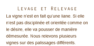 Levage et Relevage La vigne n’est en fait qu’une liane. Si elle n’est pas disciplinée et orientée comme on le désire, elle va pousser de manière démesurée. Nous relevons plusieurs vignes sur des palissages différents.